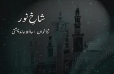 Shakh e Noor (Hafiz Abid Chishti)-by-MISC